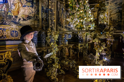 Photos : Vaux-le-vicomte en Lumières