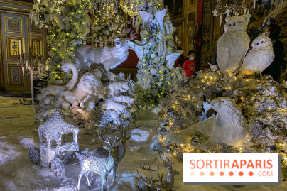 Photos : Vaux-le-vicomte en Lumières animaux