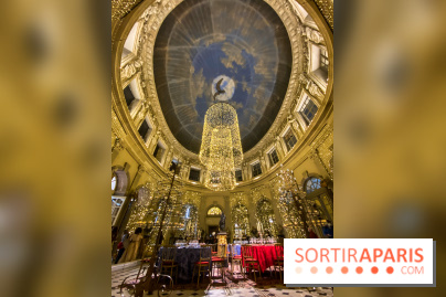 Photos : Vaux-le-vicomte en Lumières