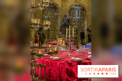 Photos : Vaux-le-vicomte en Lumières