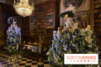 Photos : Vaux-le-vicomte en Lumières robes