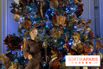 Photos : Vaux-le-vicomte en Lumières