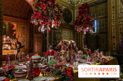 Photos : Vaux-le-vicomte en Lumières table