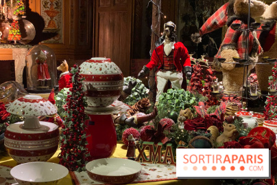 Photos : Vaux-le-vicomte en Lumières