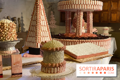 Photos : Vaux-le-vicomte en Lumières birscuit