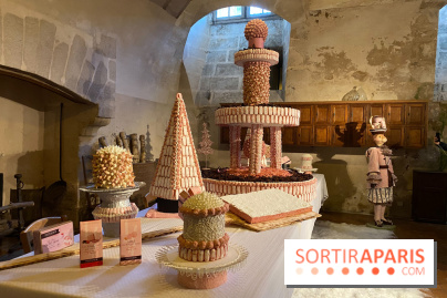 Photos : Vaux-le-vicomte en Lumières biscuits