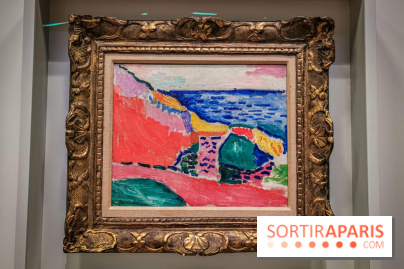 Matisse, comme un roman : nos photos de l'exposition du Centre Pompidou
