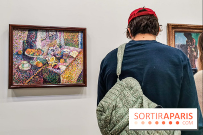 Matisse, comme un roman : nos photos de l'exposition du Centre Pompidou