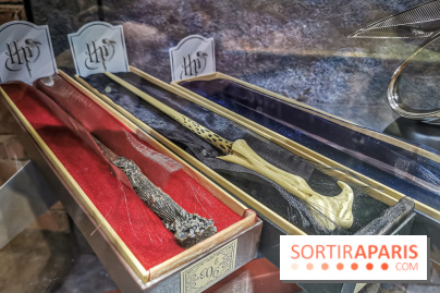 Boutique Wizarding World Harry Potter au Village JouéClub