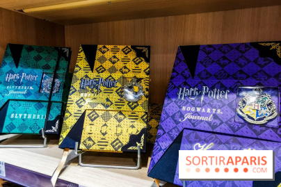 Boutique Wizarding World Harry Potter au Village JouéClub