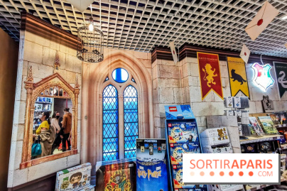Boutique Wizarding World Harry Potter au Village JouéClub