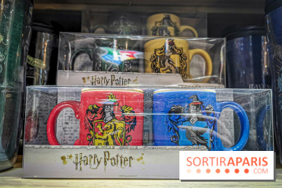 Boutique Wizarding World Harry Potter au Village JouéClub