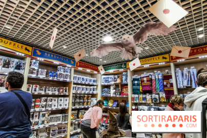 Boutique Wizarding World Harry Potter au Village JouéClub
