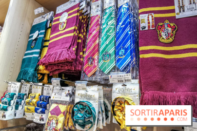 Boutique Wizarding World Harry Potter au Village JouéClub
