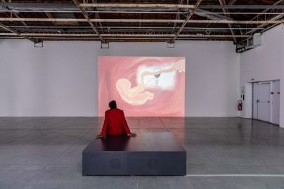 Exposition Anticorps au Palais de Tokyo