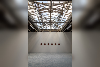 Exposition Anticorps au Palais de Tokyo