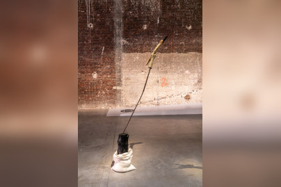 Exposition Anticorps au Palais de Tokyo