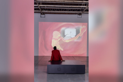 Exposition Anticorps au Palais de Tokyo