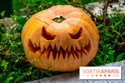 Halloween 2020 : comment creuser sa citrouille ? Le tuto