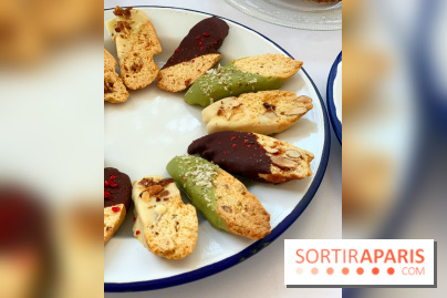 Maison Gazelle Noël 2020