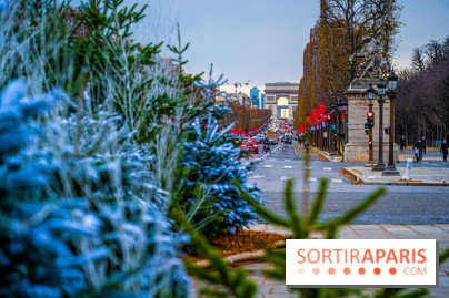 Photos : Illuminations et sapins de Noël Place de la Concorde