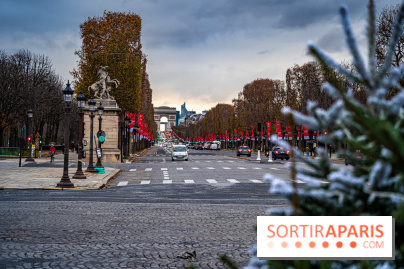 Photos : Illuminations et sapins de Noël Place de la Concorde