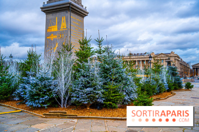 Photos : Illuminations et sapins de Noël Place de la Concorde