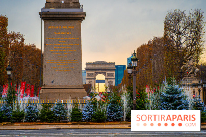 Photos : Illuminations et sapins de Noël Place de la Concorde