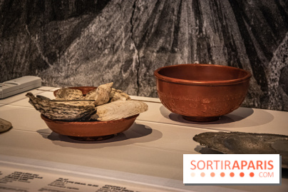 À Table ! Le repas tout un art, l'exposition au musée de Sèvres - Cité de la Céramique - nos photos