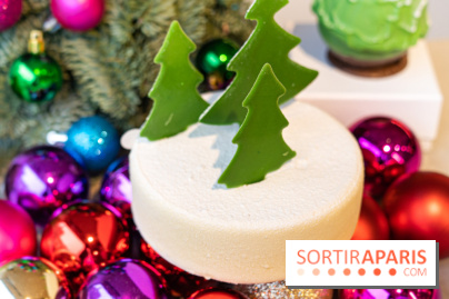 Photos : Les Bûches de Noël de Yann Menguy à la Goutte d'Or Pâtisserie 2020