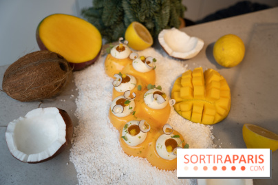 Photos : Les Bûches de Noël de Yann Menguy à la Goutte d'Or Pâtisserie 2020