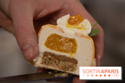 Photos : Les Bûches de Noël de Yann Menguy à la Goutte d'Or Pâtisserie 2020