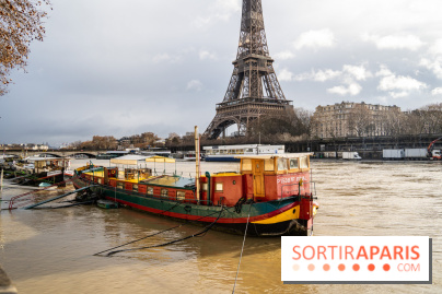 La Seine en crue février 2021