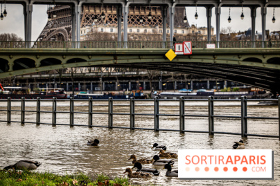 La Seine en crue février 2021