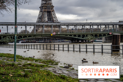 La Seine en crue février 2021