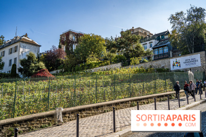 Montmartre Paris - fête des vendanges