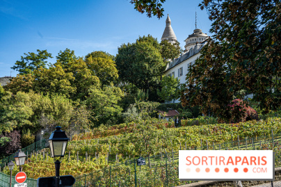 Montmartre Paris - fete des vendanges