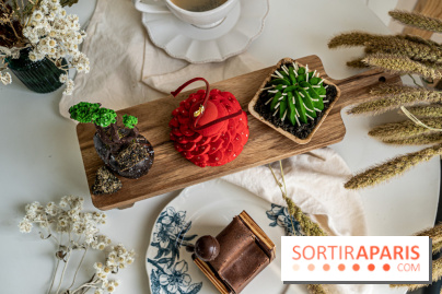 Photos : Wonderland Pâtisserie 