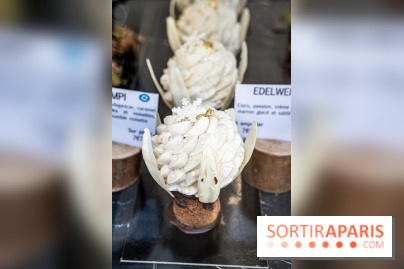 Photos : Wonderland Pâtisserie 