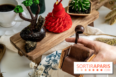 Photos : Wonderland Pâtisserie 