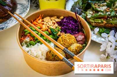 Fuumi nouvelle carte