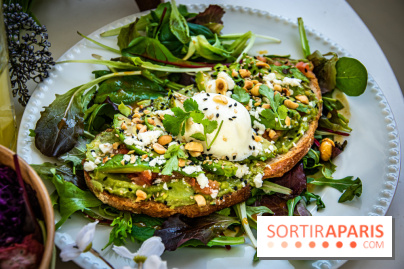 Fuumi nouvelle carte