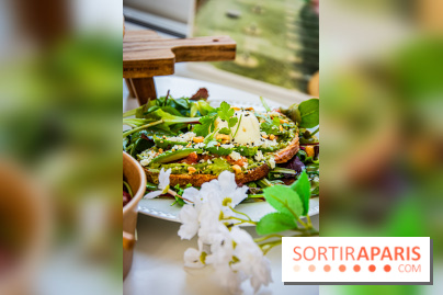 Fuumi nouvelle carte