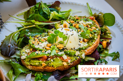 Fuumi nouvelle carte