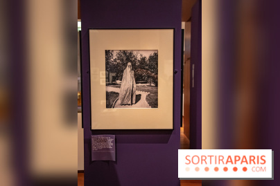 Des images et des hommes, Bamiyan 20 ans après, l'exposition commémorative du Musée Guimet