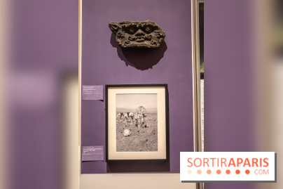 Des images et des hommes, Bamiyan 20 ans après, l'exposition commémorative du Musée Guimet