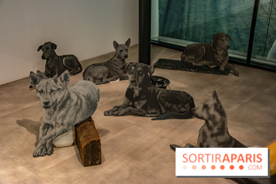 Exposition Daniel Otero Torres au Drawing Lab