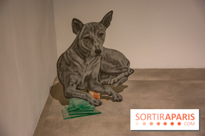 Exposition Daniel Otero Torres au Drawing Lab