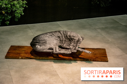 Exposition Daniel Otero Torres au Drawing Lab