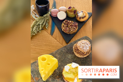 La Fabrique à Toga d'Olivier Stehly